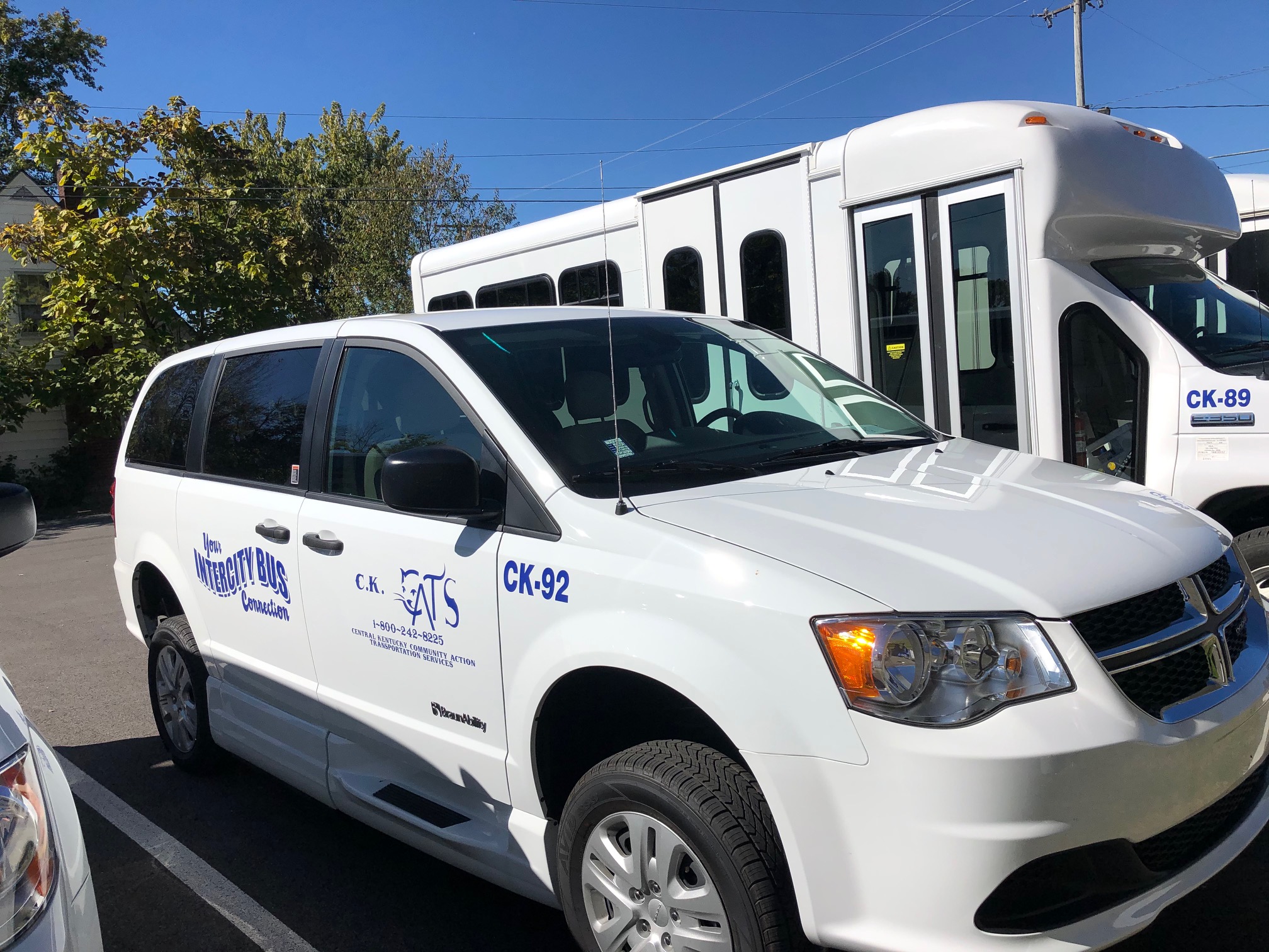 Ckcats Renovation Update Ckcac