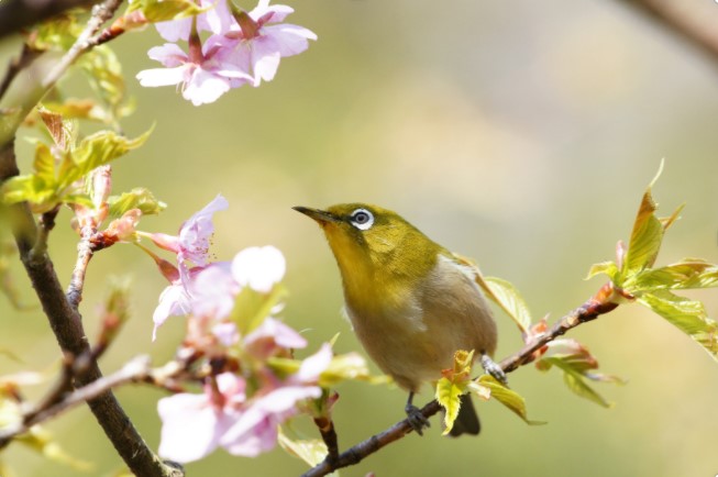 Goode News – April 2021
