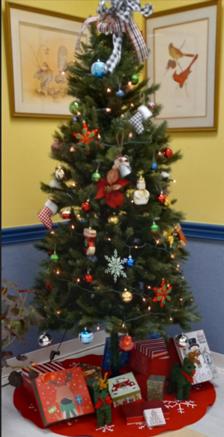 Congregate Meals Program